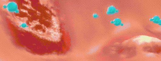 1780646853905549.gif